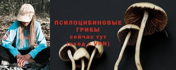 винт Мегион