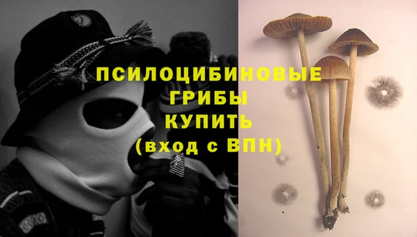 прущая мука Медвежьегорск