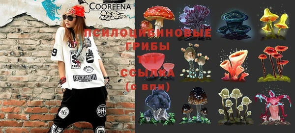 винт Мегион
