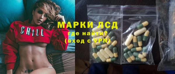 ECSTASY Михайлов